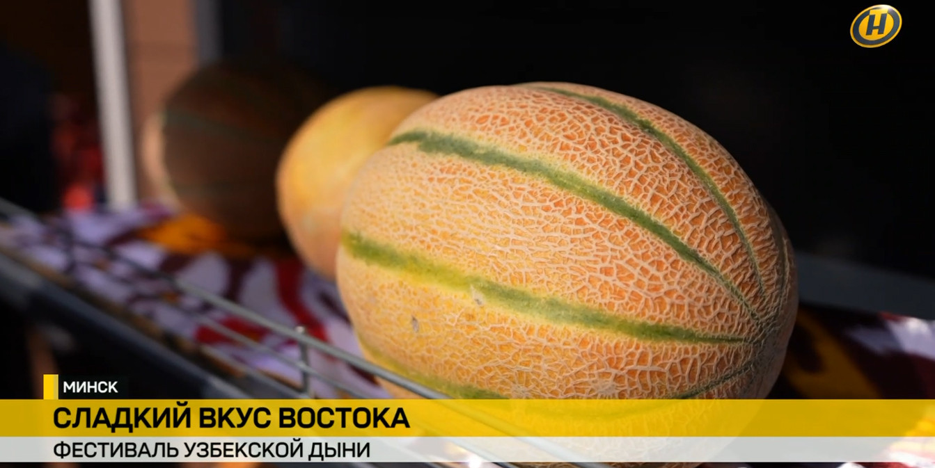 Спелые узбекские дыни крупным планом на прилавке. Снизу плашка телеканала ОНТ: «Минск. Сладкий вкус Востока. Фестиваль узбекской дыни».
