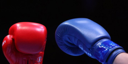 Белорусские боксеры смогут выступать на турнирах World Boxing без национальной символики