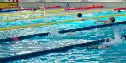 От нейтралитета к флагу и гимну: в каких видах спорта Беларусь возвращается на международную арену