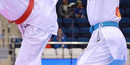 Белорусы взяли 8 медалей на чемпионате Европы по тхэквондо ITF