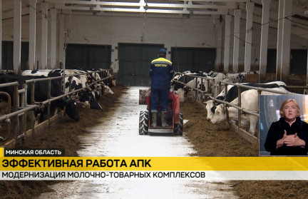 В Беларуси продолжается модернизация молочно-товарных комплексов