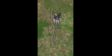 В Индонезии обнаружили самую длинную змею в мире