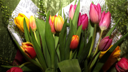 7 лучших подарков на 8 Марта по мнению женщин