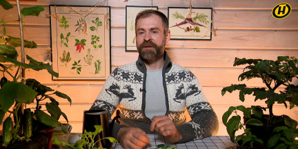 Какие культуры нужно успеть посеять до конца сентября, рассказал садовник Кастрицкий