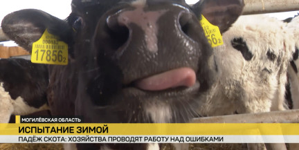 Испытание холодом. В Беларуси усилен контроль над агросектором