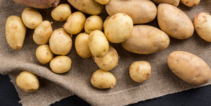 Эколог рассказал, какой картофель опасен для здоровья