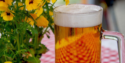 Врач развеяла популярный миф о безалкогольном пиве