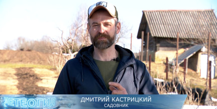 Чем обрабатывать сад весной, рассказал садовник Кастрицкий