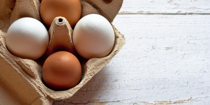 Названа безопасная дневная норма яиц для людей