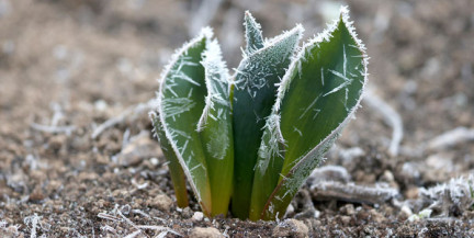 Второй месяц весны прощается заморозками. Прогноз погоды на 30 апреля