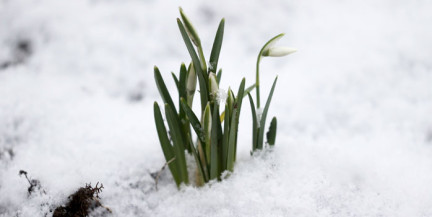 Влажно и ветренно, местами возможен гололед. Прогноз погоды на 27 февраля