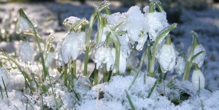 Снег, дождь и температурный контраст. Синоптики рассказали о погоде 6-8 марта