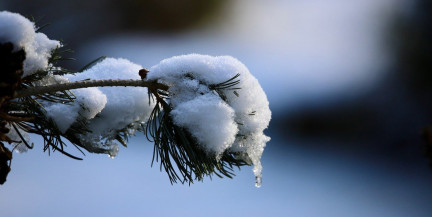 Атмосферные сюрпризы: морозы сменятся дождями и оттепелью. Погода 21-23 февраля