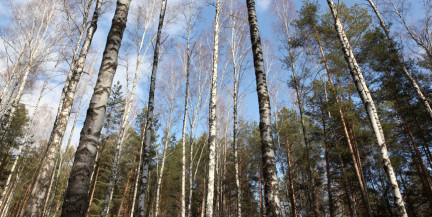 Атмосферный фронт с Балтики принесет в Беларусь похолодание. Погода 19-21 марта