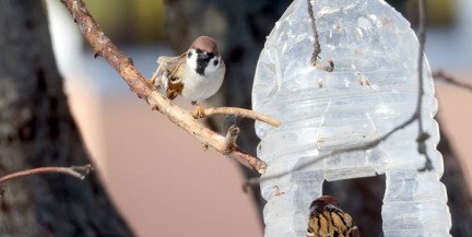 Весна уже на пороге. Прогноз погоды на 7 марта