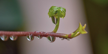 Не без дождей. Синоптики рассказали о погоде в Беларуси на 25-27 марта