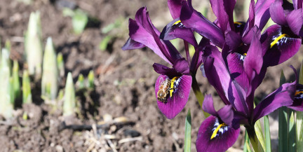 Аномальное тепло до +19°C сохраняется. Погода 24-26 марта