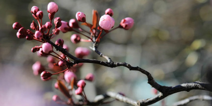 Весна на паузе? Ветер, дождь и мокрый снег – погода на 9-10 апреля