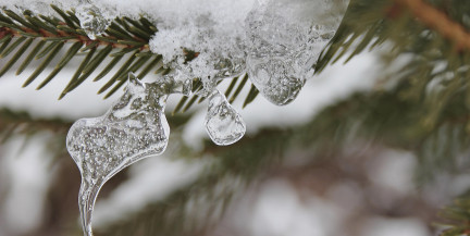 Температурные качели. Синоптики предупредили о погоде в Беларуси 25-28 февраля