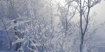 Точность прогнозов погоды в Беларуси превышает мировые стандарты – Минприроды