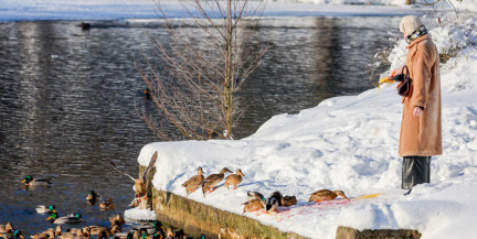 Холодный фронт над страной. Прогноз погоды на 23 января