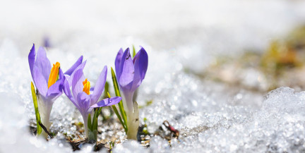 Весна радует солнцем и теплом до +13°C. Погода 5-7 марта