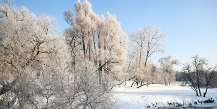 «Ласковый и пушистый»? Каким будет февраль, рассказал синоптик Рябов