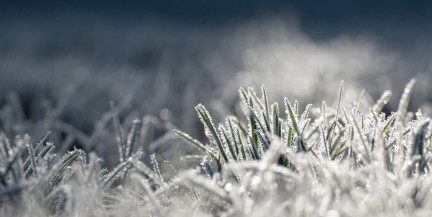 Мороз слабеет? Синоптики рассказали о погоде в Беларуси на 18-20 февраля