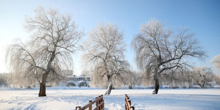 От -31°C до +2°C: после рекордных морозов в Беларусь возвращается оттепель