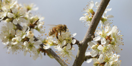 Природа снова шутит. Синоптики предупредили о капризной погоде 29-30 апреля