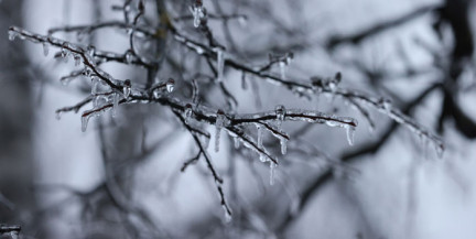 Северный ветер и низкие температуры. Прогноз погоды на 11 апреля