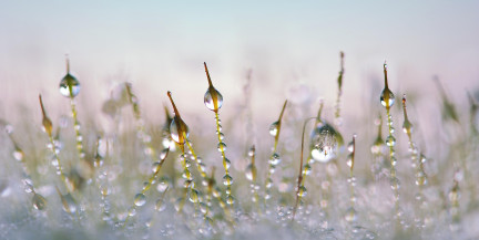 В выходные в Беларуси ожидаются дожди, туман и прохлада