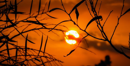 Январь 2026-го вошел в пятерку самых теплых первых месяцев года на Земле