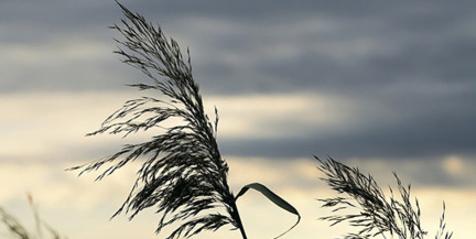 Тепло уходит: заморозки до -4°C, мокрый снег и порывистый ветер. Погода 7-9 апреля