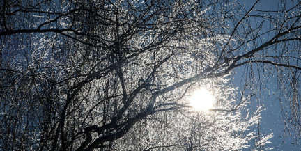 Где в Беларуси 19 февраля ожидаются 20-градусные морозы, рассказали в Белгидромет