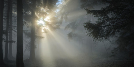 Циклоны принесут в Беларусь дожди, туман и похолодание. Погода 17-19 апреля