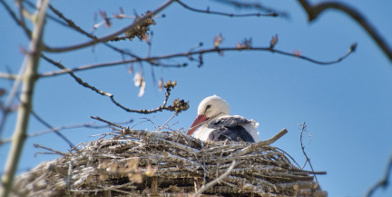 Теплее нормы. Синоптики рассказали о погоде в Беларуси 17-19 марта