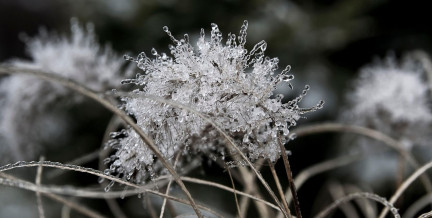До +14°C. Где в Беларуси будет теплее всего в субботу