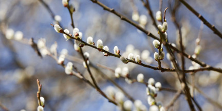 Весна набирает обороты. Прогноз погоды на 27 марта