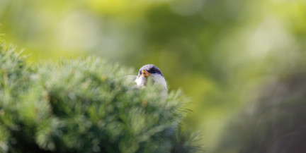 Какие регионы Беларуси накроет дождь 26 марта, рассказали синоптики