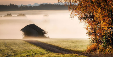 В Витебской области на один населенный пункт стало меньше