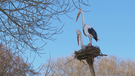 Где в Беларуси жить особенно хорошо? Названы лучшие населенные пункты и районы в каждой области