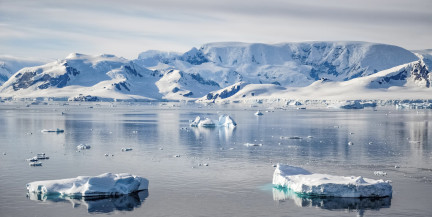 Трамп, «кусок льда» и шоковая терапия для Европы. Глеб Лавров – о конфликте Старого и Нового света