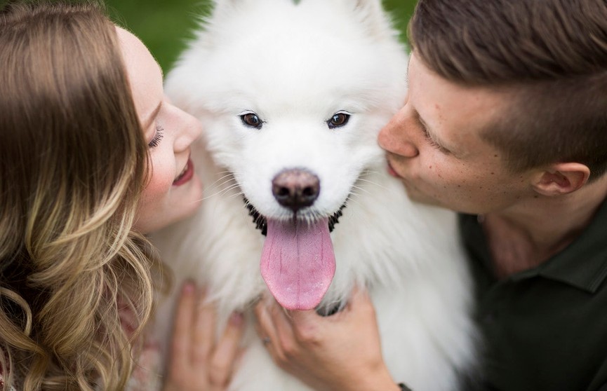 Собаки на свадьбе: фотографии, которые точно заставят вас улыбнуться
