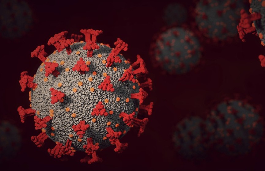 Антитела к «омикрону» плохо нейтрализуют другие штаммы COVID-19, рассказал вирусолог