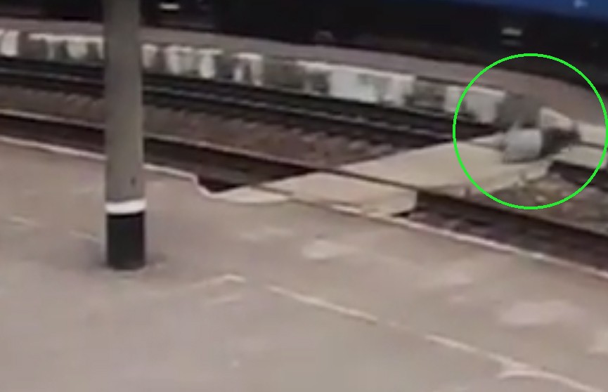 Милиционер достал прямо из-под колес поезда упавшего мужчину в Ивацевичах