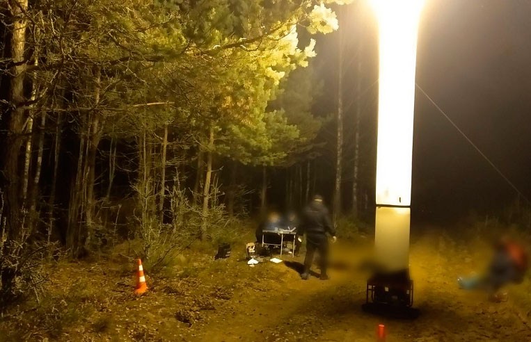 Мужчину убили в лесу в Шумилинском районе
