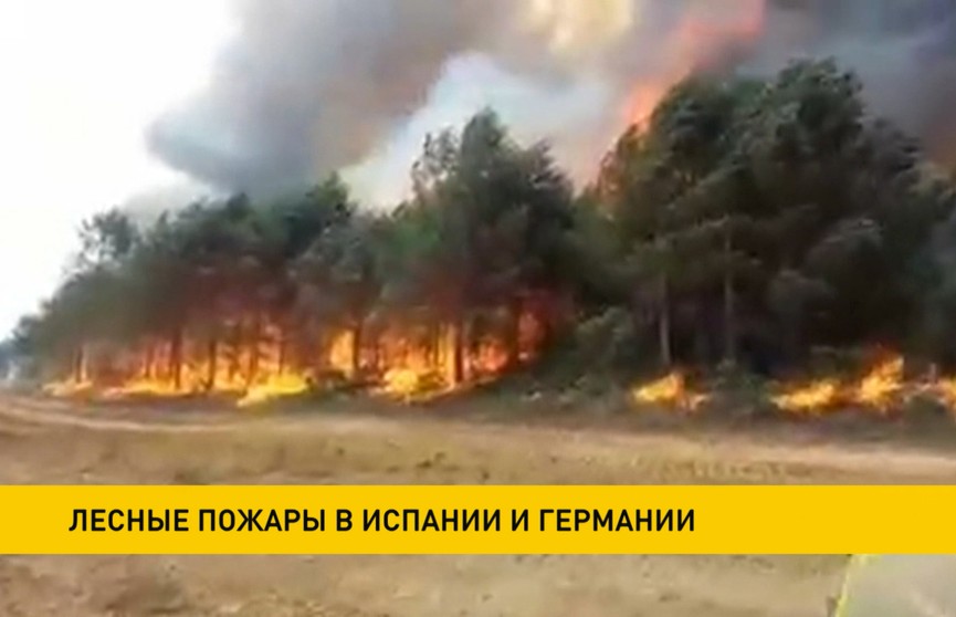 Испания и Германия охвачены лесными пожарами