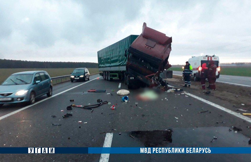 Две фуры столкнулись на трассе М1 в Брестской области. Один из водителей погиб
