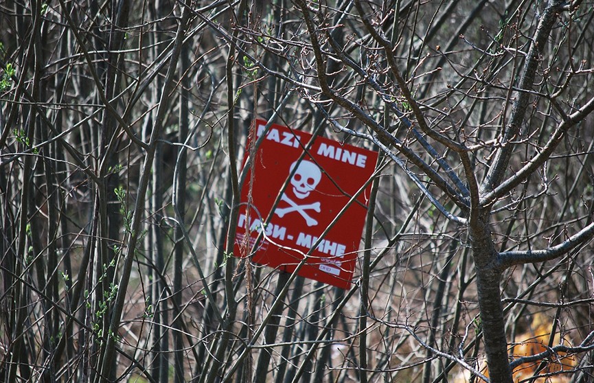 ВСУ разбрасывают противопехотные мины в Белгородской области, заявил Гладков